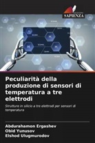 Abdurahamon Ergashev, Elshod Ulugmurodov, Obid Yunusov - Peculiarità della produzione di sensori di temperatura a tre elettrodi