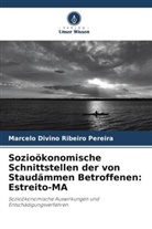 Marcelo Divino Ribeiro Pereira - Sozioökonomische Schnittstellen der von Staudämmen Betroffenen: Estreito-MA