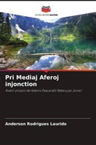 Anderson Rodrigues Laurido - Pri Mediaj Aferoj injonction