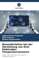 Abdurahamon Ergashev, E Ulugmurodov, Elshod Ulugmurodov, Obid Yunusov - Besonderheiten bei der Herstellung von Drei-Elektroden-Temperatursensoren