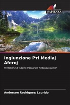 Anderson Rodrigues Laurido - Ingiunzione Pri Mediaj Aferoj