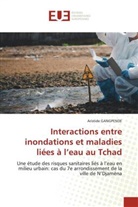 Aristide GANGPENDE - Interactions entre inondations et maladies liées à l'eau au Tchad