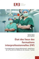 Sondes Laajimi, Dorra Loghmari, Mbarek Rabeb - État des lieux des formations interprofessionnelles (FIP)
