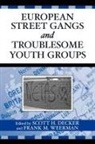 Scott H. Weerman Decker, Scott H. Decker, Frank M. Weerman - European Street Gangs and Troublesome Youth Groups