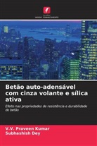 Subhashish Dey, V. V. Praveen Kumar, V.V. Praveen Kumar - Betão auto-adensável com cinza volante e sílica ativa