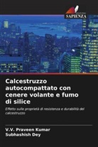 Subhashish Dey, V. V. Praveen Kumar, V.V. Praveen Kumar - Calcestruzzo autocompattato con cenere volante e fumo di silice