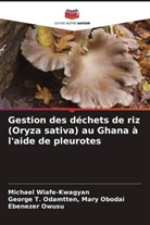 Mary Obodai Odamtten, Ebenezer Owusu, Michael Wiafe-Kwagyan - Gestion des déchets de riz (Oryza sativa) au Ghana à l'aide de pleurotes