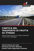 Carlos Gomes de Lima, Giovanni Da Silva Oliveira, Ismael Vanio Agostinho Santana - CINETICA DEL TRASPORTO DI FRUTTA SU STRADA