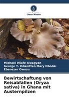George T. Odamtten  Mary Obodai, Georg Odamtten Mary Obodai, George T. Odamtten Mary Obodai, Ebenezer Owusu, Michael Wiafe-Kwagyan - Bewirtschaftung von Reisabfällen (Oryza sativa) in Ghana mit Austernpilzen