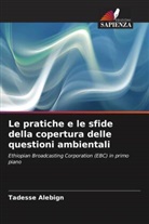 Tadesse Alebign - Le pratiche e le sfide della copertura delle questioni ambientali