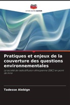 Tadesse Alebign - Pratiques et enjeux de la couverture des questions environnementales
