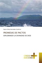 Dayris Orilys Bermúdez Gutierrez - PROMESAS DE PACTOS