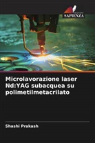 Shashi Prakash - Microlavorazione laser Nd:YAG subacquea su polimetilmetacrilato