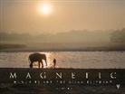 Larry Laverty - Magnetic