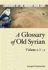 Joaquin Sanmartin, Joaquin Sanmartín - A Glossary of Old Syrian