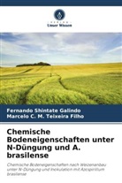 Fernando Shintate Galindo, Marcelo Teixeira Filho, Marcelo C. M. Teixeira Filho - Chemische Bodeneigenschaften unter N-Düngung und A. brasilense