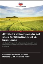 Fernando Shintate Galindo, Marcelo C. M. Teixeira Filho - Attributs chimiques du sol sous fertilisation N et A. brasilense