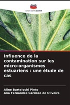 Ana  Fernandes Cardoso de Oliveira, Ana Fernandes Cardoso de Oliveira, Aline Bartelochi Pinto - Influence de la contamination sur les micro-organismes estuariens : une étude de cas