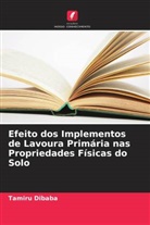 Tamiru Dibaba - Efeito dos Implementos de Lavoura Primária nas Propriedades Físicas do Solo