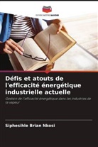 Siphesihle Brian Nkosi - Défis et atouts de l'efficacité énergétique industrielle actuelle