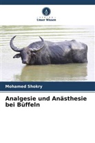 Mohamed Shokry - Analgesie und Anästhesie bei Büffeln