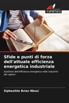 Siphesihle Brian Nkosi - Sfide e punti di forza dell'attuale efficienza energetica industriale