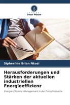 Siphesihle Brian Nkosi - Herausforderungen und Stärken der aktuellen industriellen Energieeffizienz