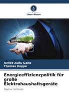 James Audu Gana, Thomas Hoppe - Energieeffizienzpolitik für große Elektrohaushaltsgeräte