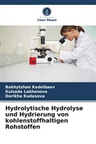 Bakhytzhan Kedelbaev, Kudasova, Darikha Kudasova, Kulzada Lakhanova - Hydrolytische Hydrolyse und Hydrierung von kohlenstoffhaltigen Rohstoffen