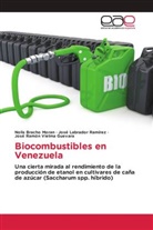 Nolis Bracho Moran, José Labrador Ramírez, José Ramón Vielma Guevara - Biocombustibles en Venezuela
