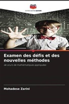 Mohadese Zarini - Examen des défis et des nouvelles méthodes