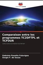 Sergio F. de Souza, Gabriela Pasetto Falavigna - Comparaison entre les programmes TC2DFTPL et TCFOUR