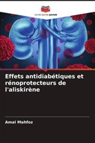 Amal Mahfoz - Effets antidiabétiques et rénoprotecteurs de l'aliskirène