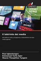Emmanuel Terfa Aper, Paul Igbashangev, Waave Theophilus Tyogem - Il labirinto dei media