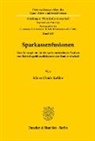 Klaus Ulrich Keßler - Sparkassenfusionen.