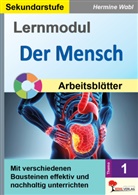 Hermine Wabl - Lernmodul 1: Der Mensch / Tafelbilder
