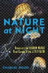 Charles Hood, Hood Charles - Nature at Night
