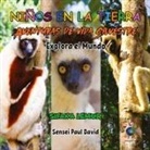 Sensei Paul David - Nin¿os en la Tierra Aventuras de vida Silvestre - Explora el Mundo Sifaka Lemur - Madagascar