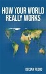 Declan Flood - How Your World Really Works
