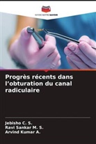 Arvind Kumar A., Jebisho C. S., Ravi Sankar M. S. - Progrès récents dans l'obturation du canal radiculaire
