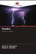 Payal S. Doalaskar, Rahul K. Kamble - Foudre