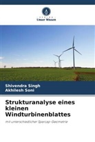 Shivendra Singh, Akhilesh Soni - Strukturanalyse eines kleinen Windturbinenblattes
