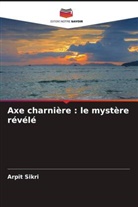 Arpit Sikri - Axe charnière : le mystère révélé