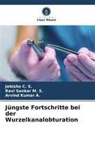 Arvind Kumar A, Arvind Kumar A., JEBISHO C S, Jebisho C. S., RAVI SANKAR M S, Ravi Sankar M. S. - Jüngste Fortschritte bei der Wurzelkanalobturation