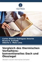 M, Alberto C. Melo Lima, Bruna R Furtado, Bruna R. Furtado, Carlos Mateus Rodrigues Amorim - Vergleich des thermischen Verhaltens: konventionelles Dach und Ökoziegel