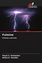 Payal S. Doalaskar, Rahul K. Kamble - Fulmine