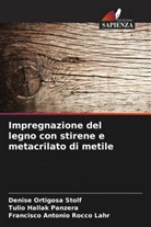 Tulio Hallak Panzera, Denise Ortigosa Stolf, Francisco Antonio Rocco Lahr - Impregnazione del legno con stirene e metacrilato di metile