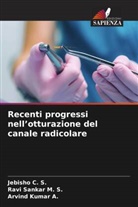 Arvind Kumar A., Jebisho C. S., Ravi Sankar M. S. - Recenti progressi nell'otturazione del canale radicolare