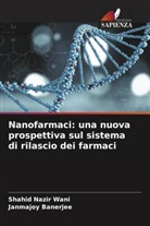 Janmajoy Banerjee, Shahid Nazir Wani - Nanofarmaci: una nuova prospettiva sul sistema di rilascio dei farmaci