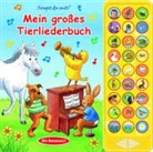 Phoenix International Publications Germany GmbH - 27-Button-Soundbuch - Mein großes Tierliederbuch - 27 bekannte Kinderlieder zum Mitsingen